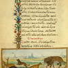 The donkeys' petition to Zeus [cont.]; The fox, and the donkey disguised as a lion.