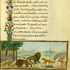 The donkey, the crow, and the wolf [cont.]; The donkey, the fox, and the lion.