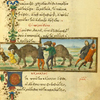 The hen and the swallow [cont.]; The first appearance of the camel.