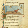 The stepped on serpent [cont.]; The thirsty dove.