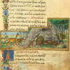 The hen who laid the goldern eggs [cont.]; The aged lion and the fox.