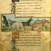 The goat and the wolf [cont.]; The mule.