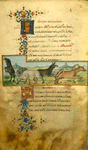 The goat and the wolf [cont.]; The mule.