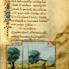 The trumpeter; The reed and the olive tree.