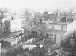 Rear view of Negro homes on Center Street in Fulton, Richmond