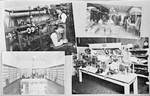Colored enterprises and industries; A typical shoemaker from Tuskegee, Ala.; Woodson's shoe store, 3222 South State Street; A Typical tailoring and pressing shop; Cranshaw's millinery, 3408 South State Street.