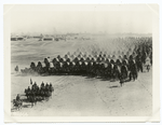 Formation of horse-drawn wagons in a camp