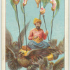 An early idea of aviaition.