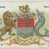 City Arms, Waterford.