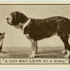 'A cat may look at a king.'
