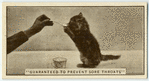 Guaranteed to prevent sore throats.'