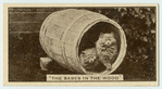 'The babes in the wood.'
