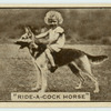 'Ride-a-cock horse.'