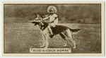 'Ride-a-cock horse.'