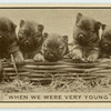 'When we were very young.'