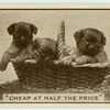 'Cheap at half the price.'