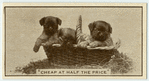 'Cheap at half the price.'