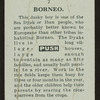 Borneo.