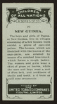 New Guinea.