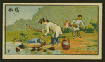 Chinese human interest series