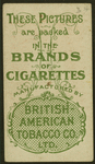 Chinese girls