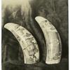 Old Scrimshaw work, etching of Connitowns (early 19 c.). Mattatuck Hist. Society, Waterbury, Conn.
