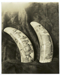 Old Scrimshaw work, etching of Connitowns (early 19 c.). Mattatuck Hist. Society, Waterbury, Conn.