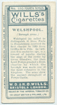 Welshpool.