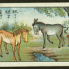 Chinese proverbs