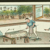 Chinese proverbs
