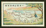 Chinese proverbs