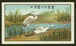 Chinese proverbs
