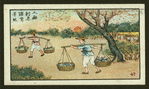 Chinese proverbs