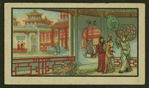 Domestic scene
