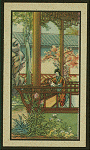 Woman reading book outside