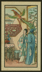 Domestic scene