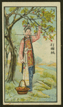 Chinese story