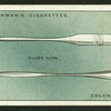 Silver oars, Colchester.