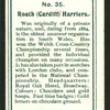 Roath (Cardiff) Harriers.