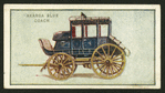 Akaroa Blue coach.