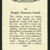 Rugg's Kumara coach.