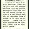 Whitstable whelker.