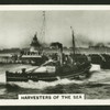 Harvesters of the sea.