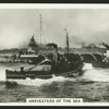 Harvesters of the sea.