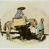 Yaconin travelling on the Tokaido