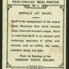 Buffalo at Banff.