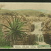 Falls, Umlaas, Natal.