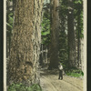 Near Victoria, B.C.