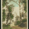 Rockcliffe Park, Ottawa.