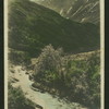 Waterton Lakes, National Park, B.C.